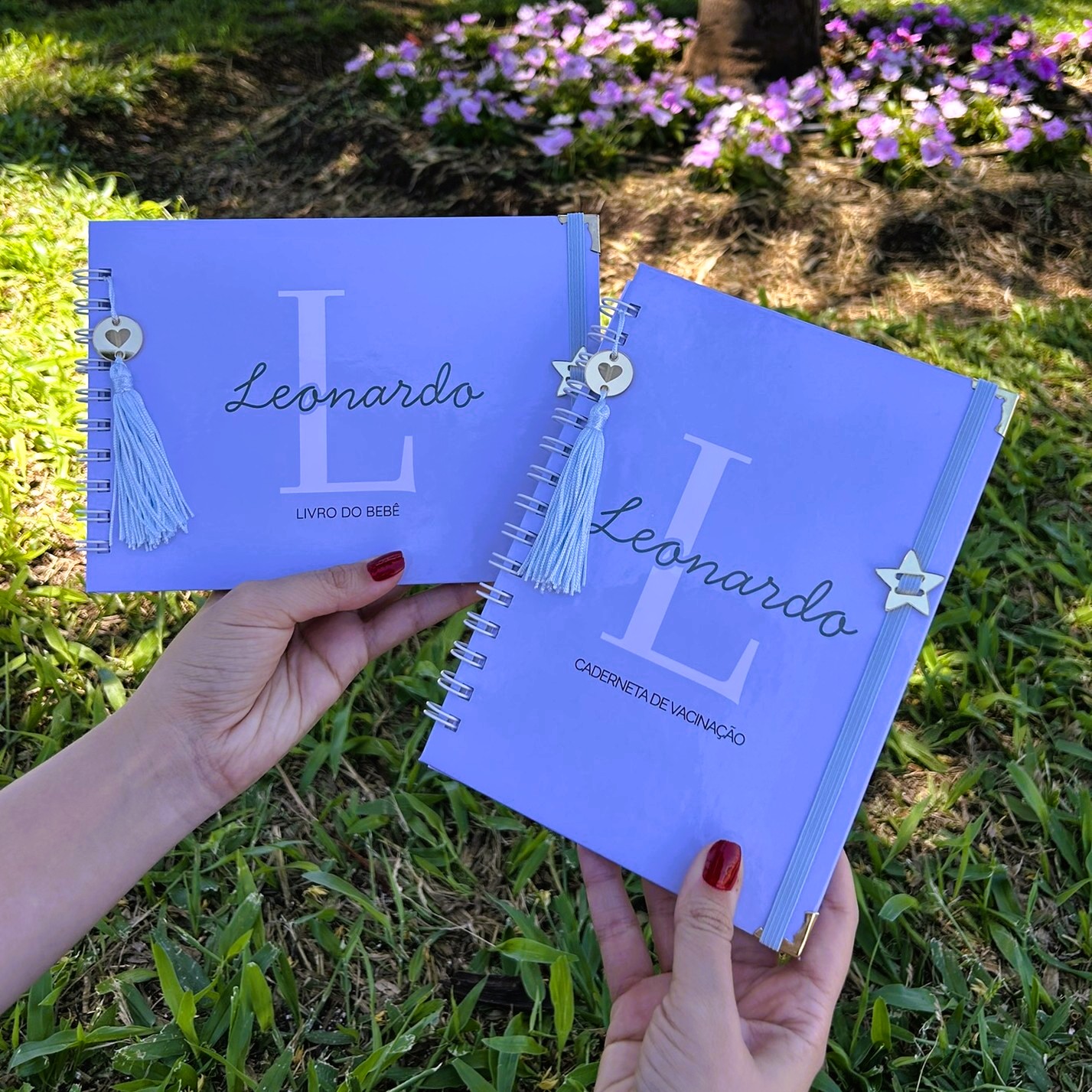 Livro do Bebê + Caderneta de Vacinação personalizados do Leonardo