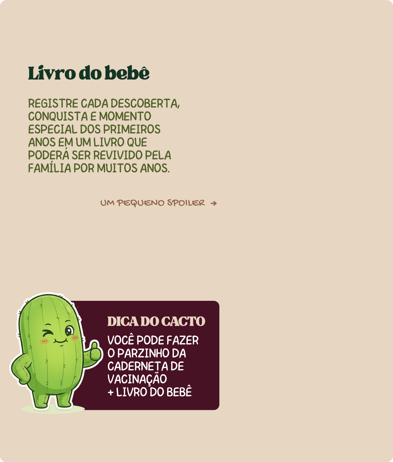 Livro do Bebê - registre cada descoberta, conquista e momento especial dos primeiros anos