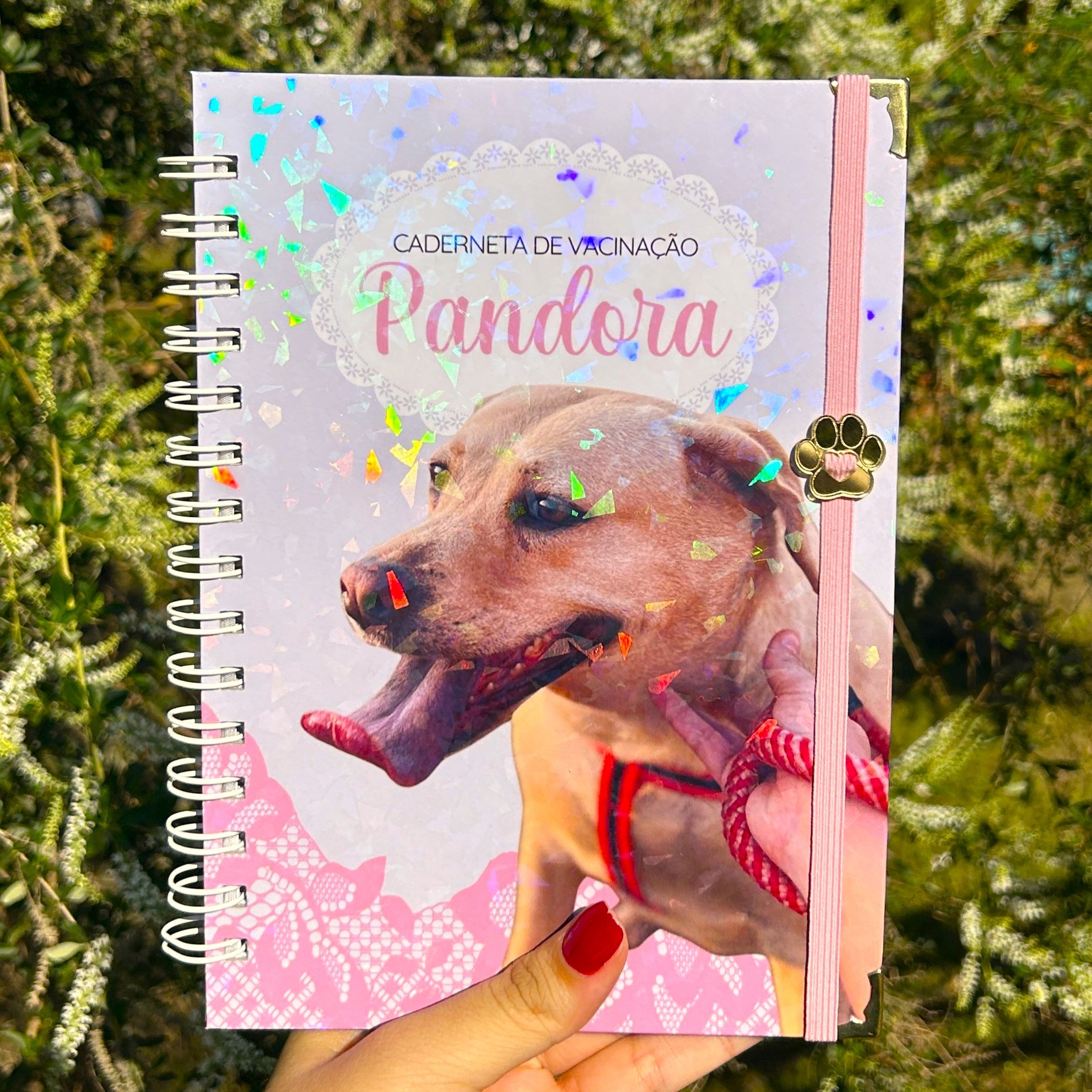 Caderneta de Vacinação Pet personalizada da Pandora