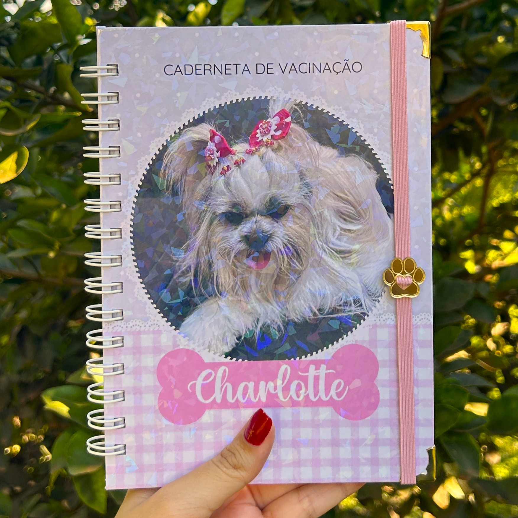 Caderneta de Vacinação Pet personalizada da Charlotte